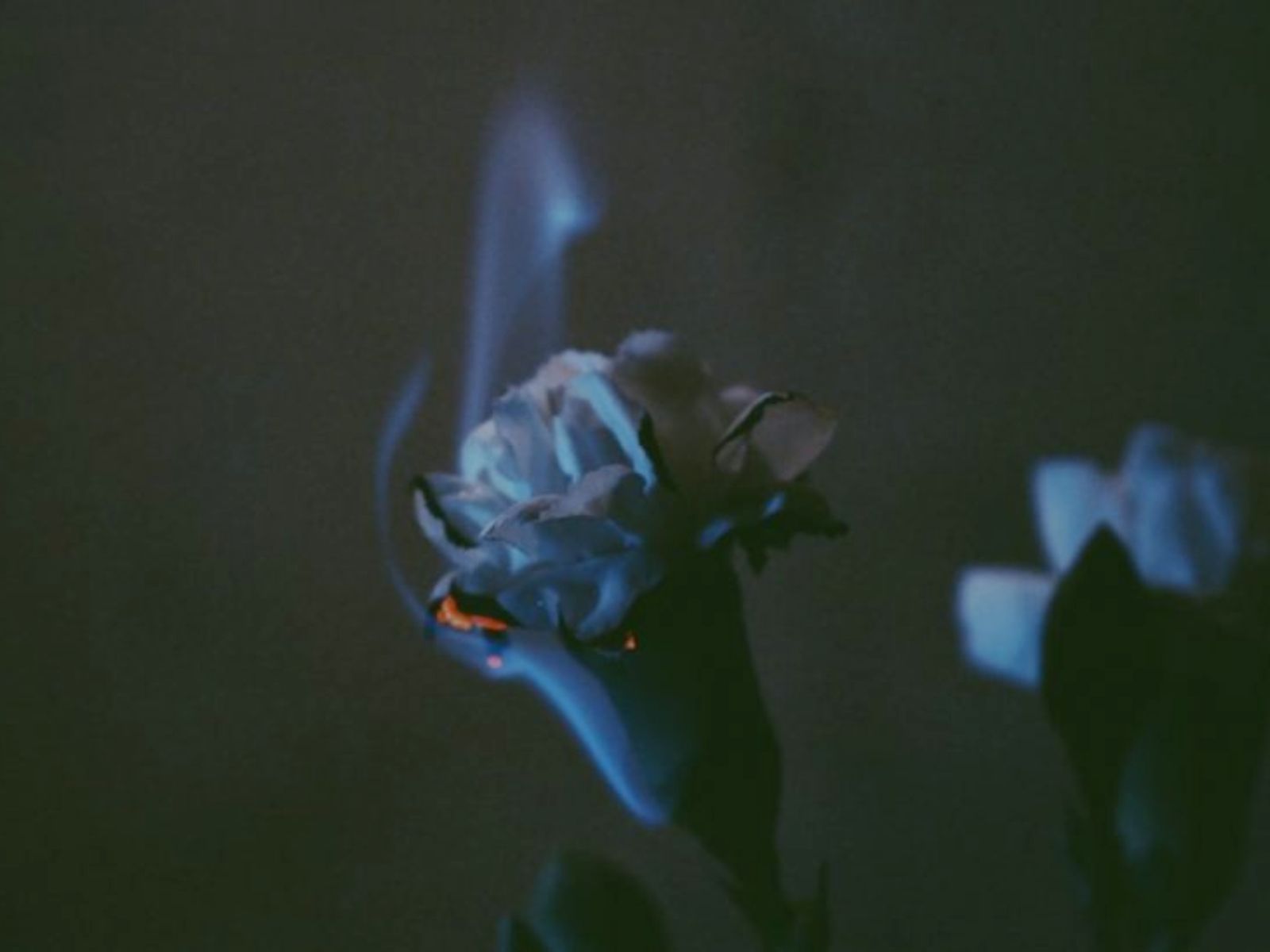 Το τετράγωνο Ερμή-Άρη στις 18 Μαΐου θα φέρει αυτά τα ζώδια ένα βήμα πιο κοντά στη τρέλα- Εντάσεις και διαμάχες σε όλους τους τομείς