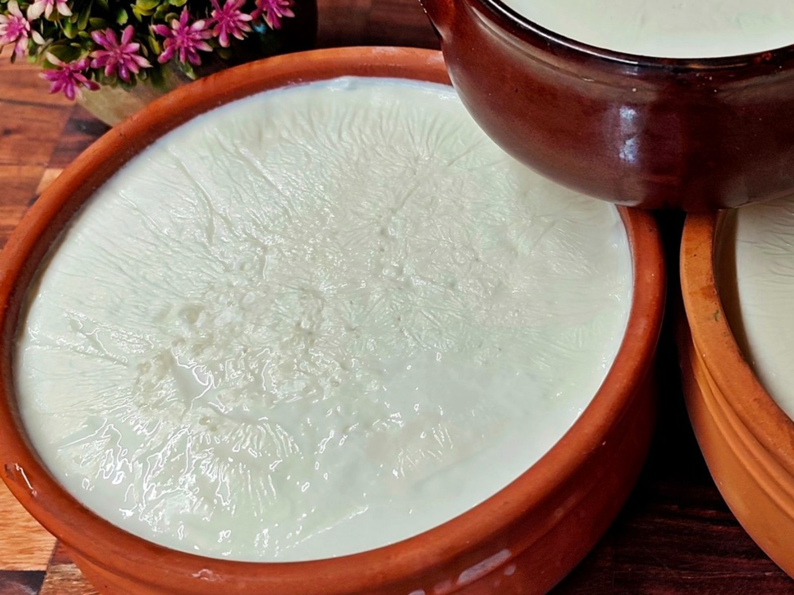 Σπιτικό γιαούρτι με μόλις 2 υλικά από τον Γιώργο Ζώλη