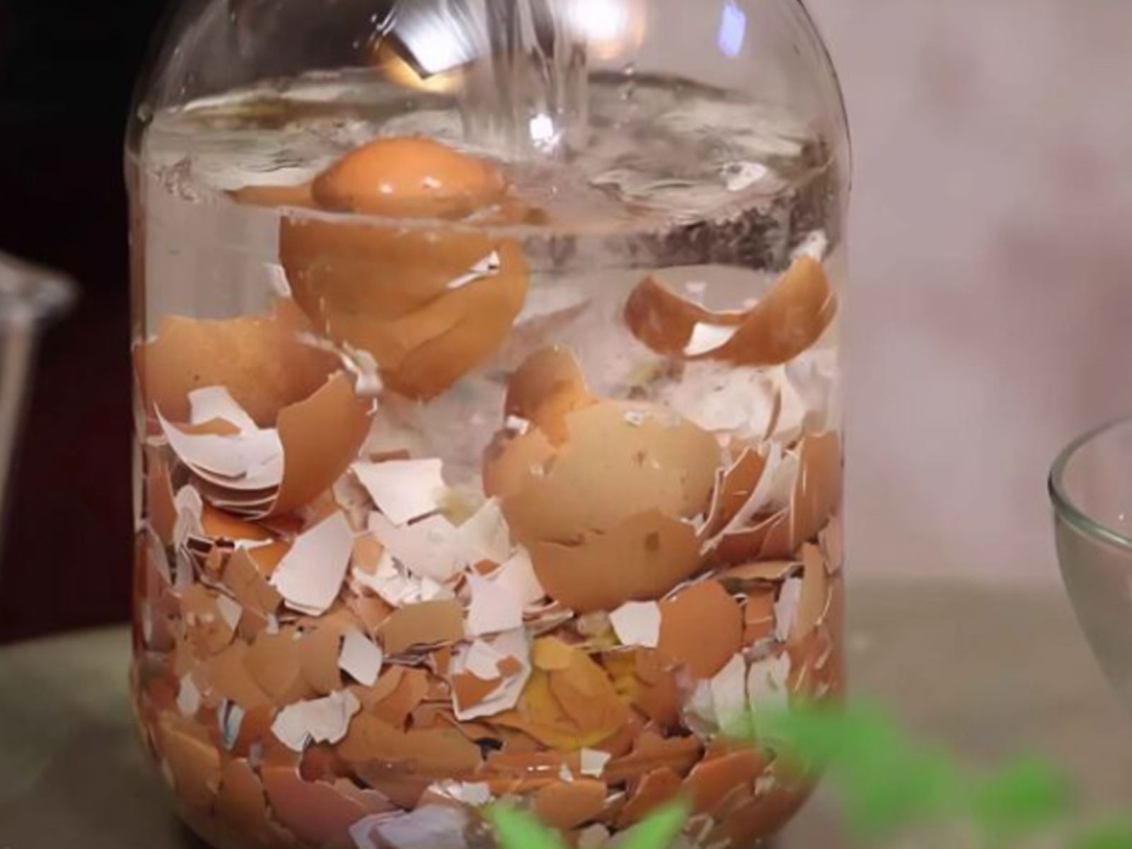 Μην πετάς τα τσόφλια των αυγών – Το μυστικό με το μούλιασμα που θα σου λύσει τα χέρια