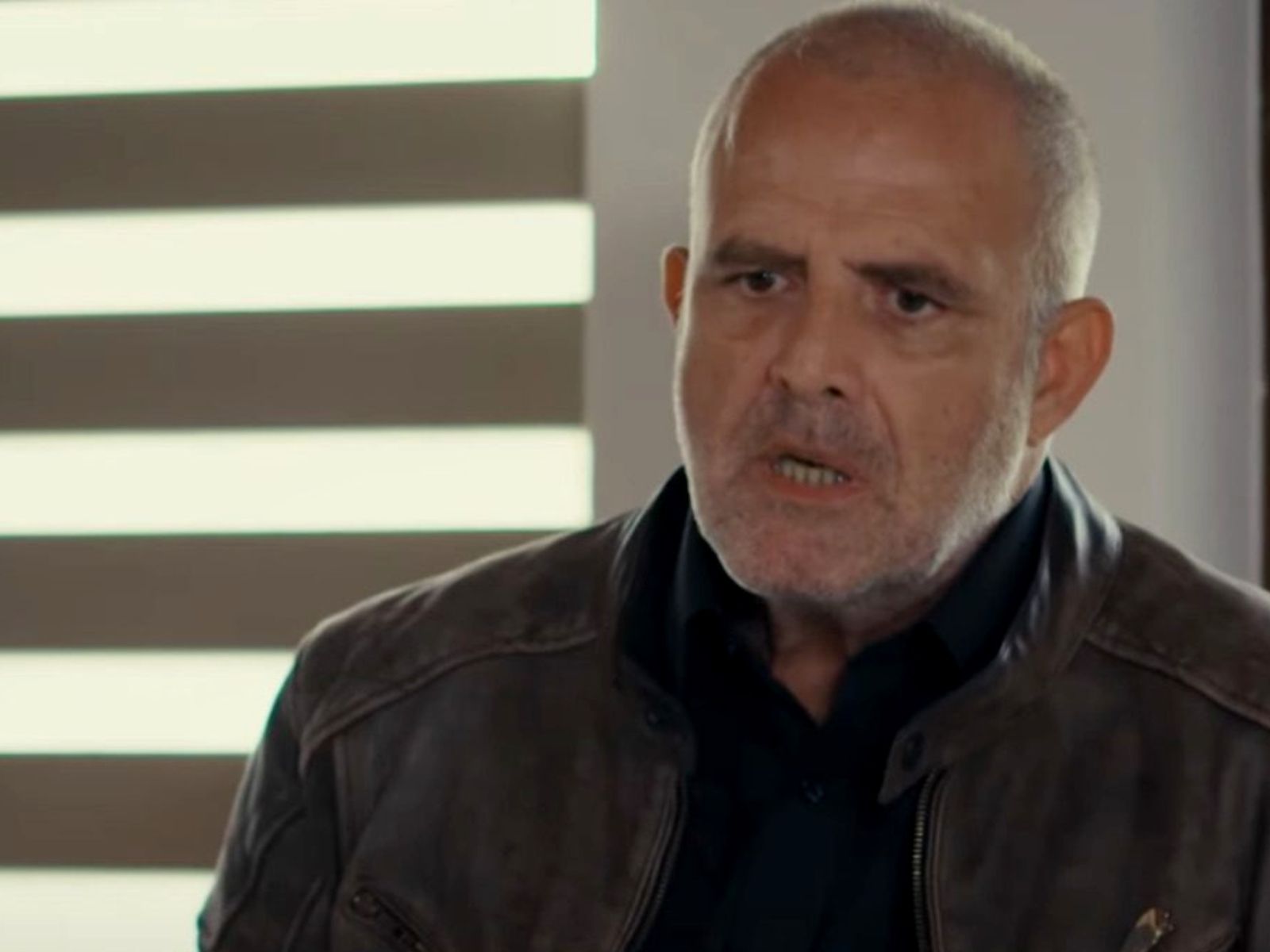 Η Γη της Ελιάς-Στάθης 