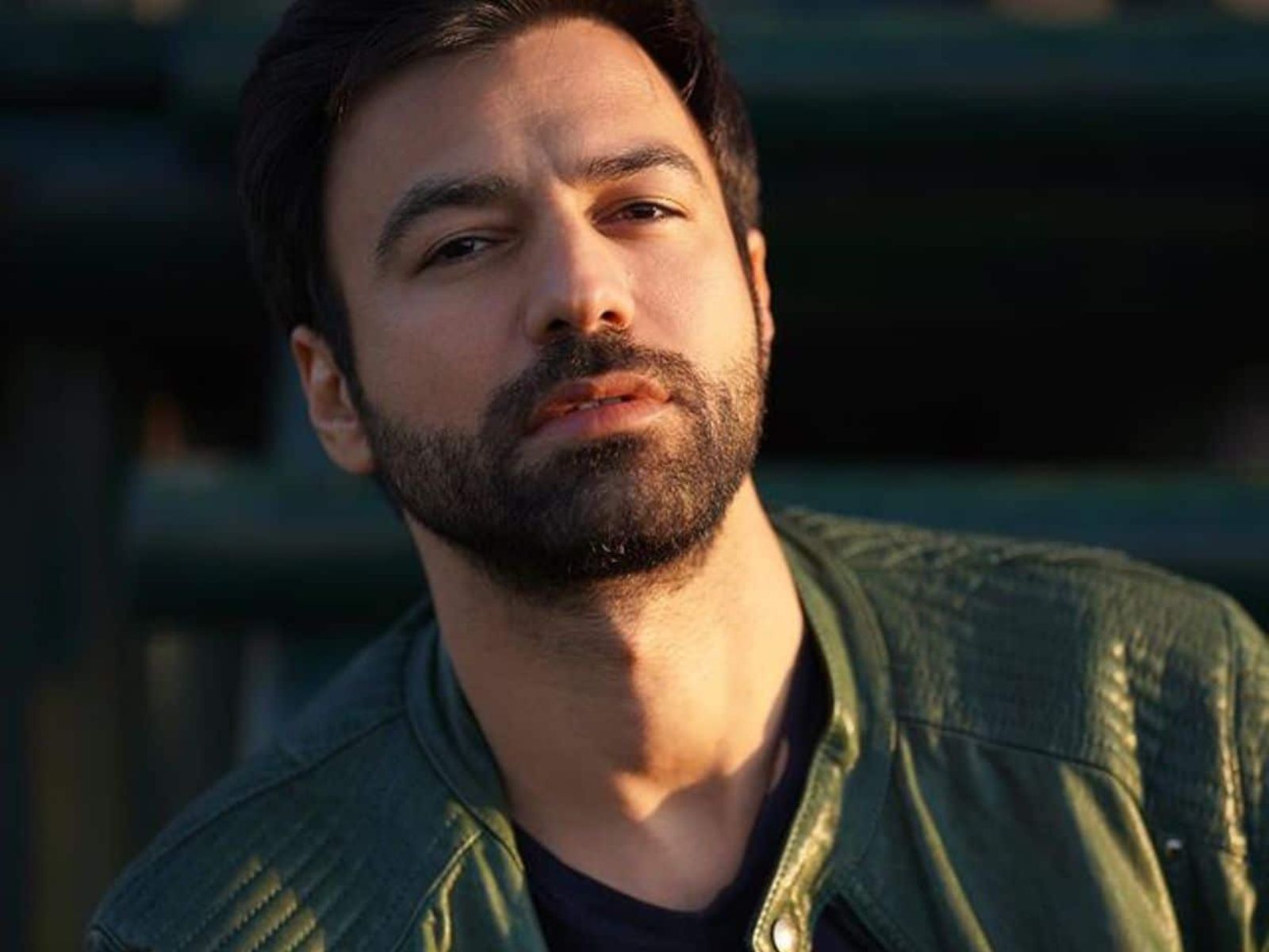 Η Γη της Ελιάς-Στέφανος-