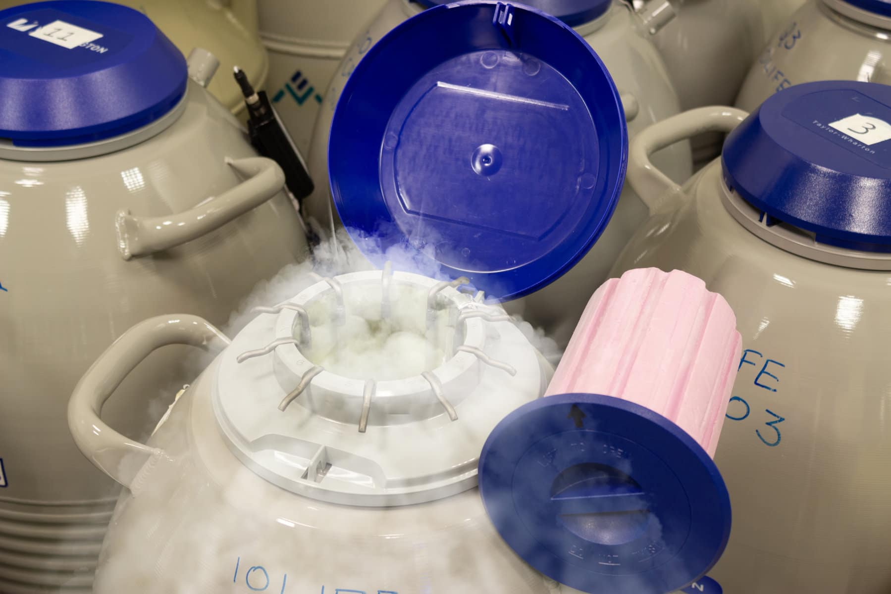 Κρυοσυντήρηση ωαρίων: Όλα όσα πρέπει να γνωρίζετε και τα στάδια της θεραπείας