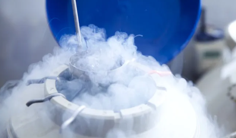 Κρυοσυντήρηση ωαρίων: Όλα όσα πρέπει να γνωρίζετε και τα στάδια της θεραπείας