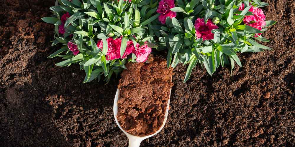 9+1 σπιτικά λιπάσματα για φυτά που βοηθούν τον κήπο με τη μέθοδο της ανακύκλωσης