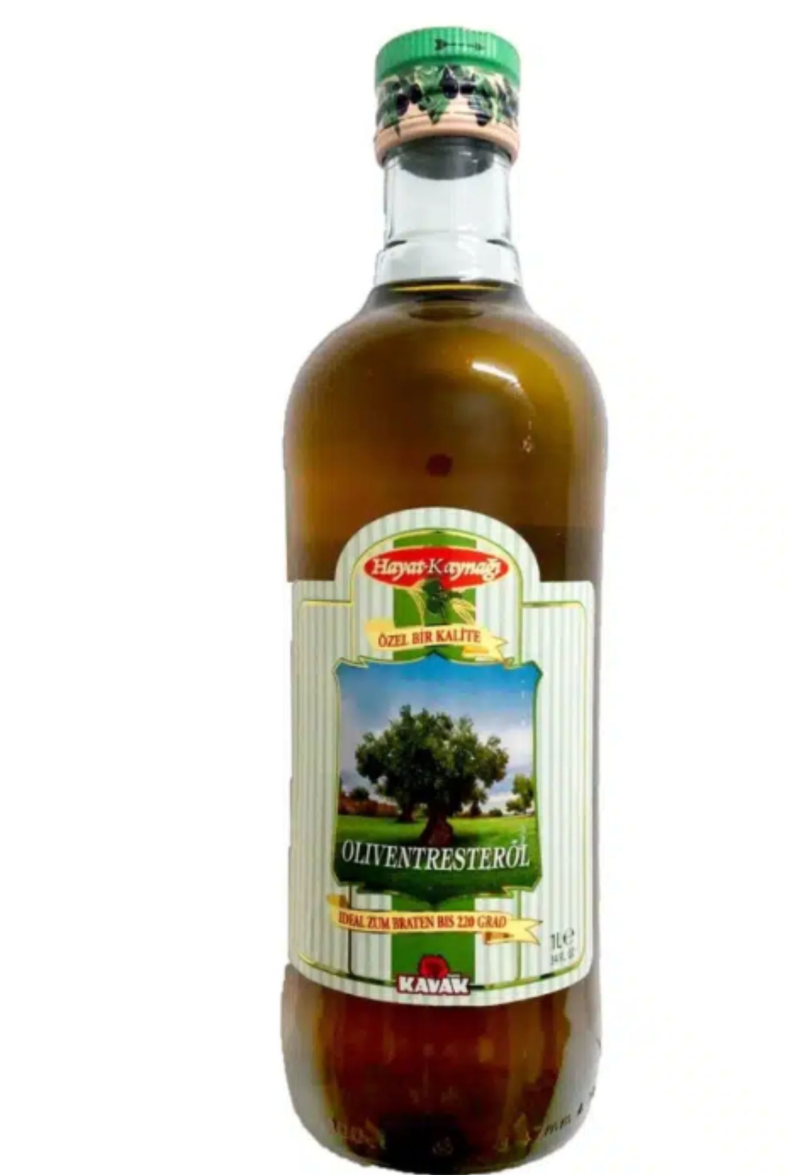 FotoJet - 2025-05-24T083502.400