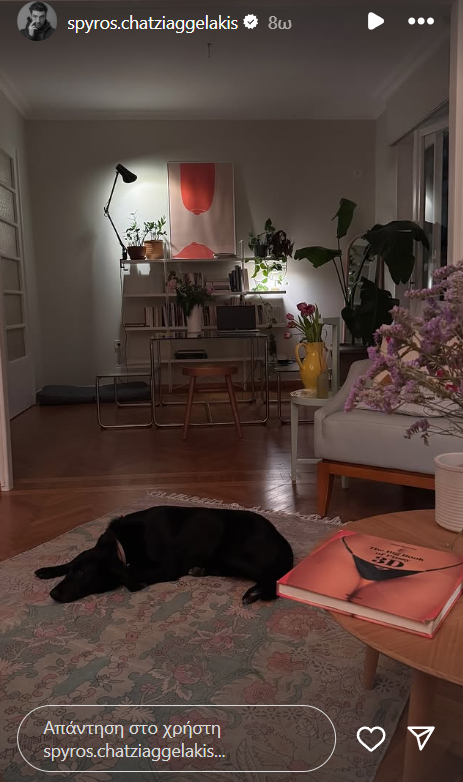 Το σαλόνι του Σπύρου Χατζηαγγελάκη είναι βγαλμένο από το Pinterest – Η πιο trendy ιδέα διακόσμησης