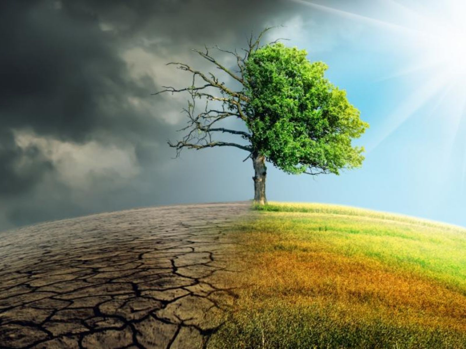 Κλιματική Αλλαγή: Τι είναι το φαινόμενο Ελ Νίνιο που επηρεάζει της εποχές;