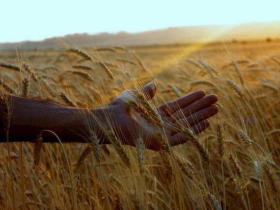 Αστρολογικές προβλέψεις Ιουνίου 2025: Τα ζώδια που θα δουν τις τσέπες τους να γεμίζουν αυτόν τον μήνα