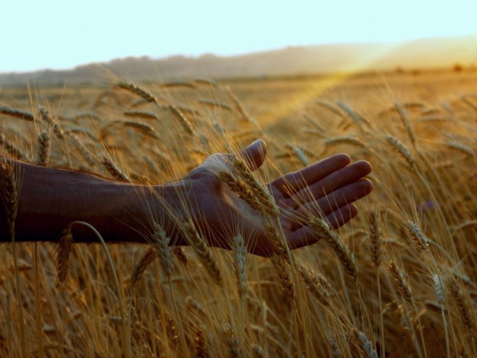 Αστρολογικές προβλέψεις Ιουνίου 2025: Τα ζώδια που θα δουν τις τσέπες τους να γεμίζουν αυτόν τον μήνα