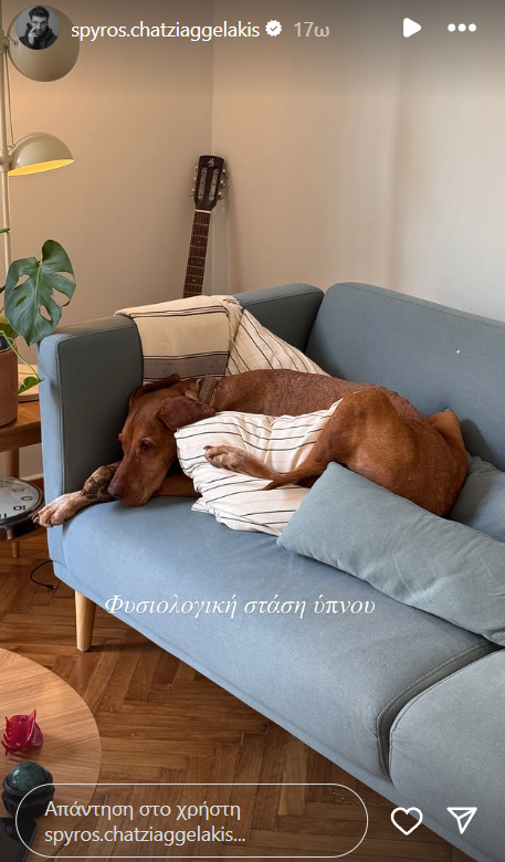 Σπύρος Χατζηαγγελάκης: Το μοντέρνο διαμέρισμά του είναι ένας μικρός παράδεισος – Ο καναπές που ζηλέψαμε