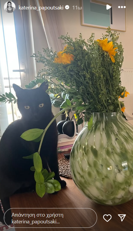 Η Κατερίνα Παπουτσάκη αγαπά την απλότητα – Το vintage βάζο που ξεχωρίσαμε στο σαλόνι της