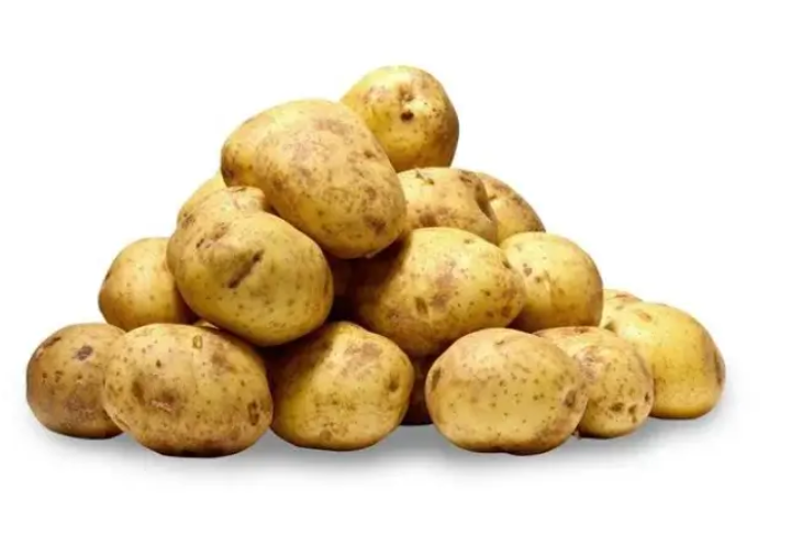 Screenshot - 2025-06-10T081350.578