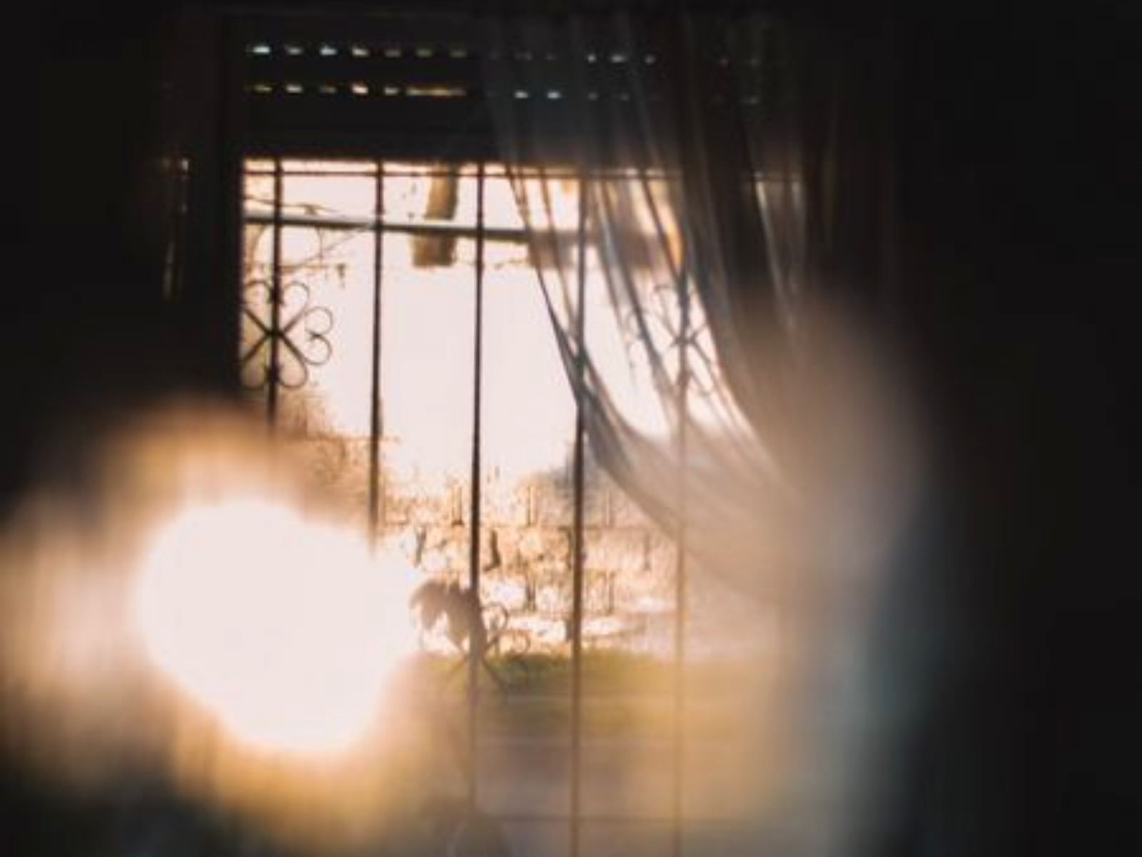 Αστρολογικές προβλέψεις 2025: Ο Δίας στο Καρκίνο ξυπνά τρυφερά ένστικτα και φέρνει χαρμόσυνα γεγονότα- Πως θα επηρεαστούν όλα τα ζώδια