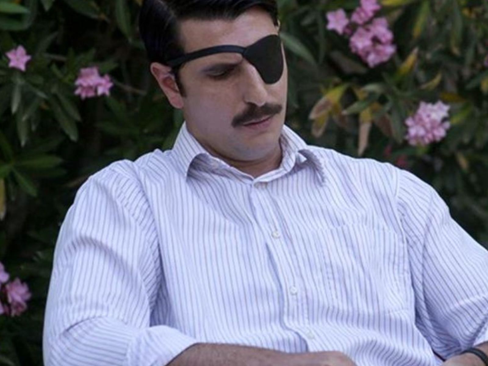 Η αναδρομή του Γιώργου Γεροντιδάκη στις Άγριες Μέλισσες που μας γέμισε νοσταλγία