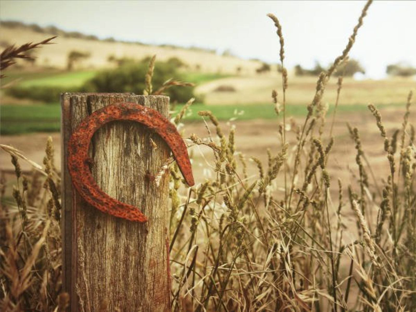 Αστρολογικές προβλέψεις Κώστας Λεφάκης 2025: Τι θα φέρει το β’ μισό του Ιουνίου σε όλα τα ζώδια; Οι τυχεροί και οι άτυχοι του ζωδιακού