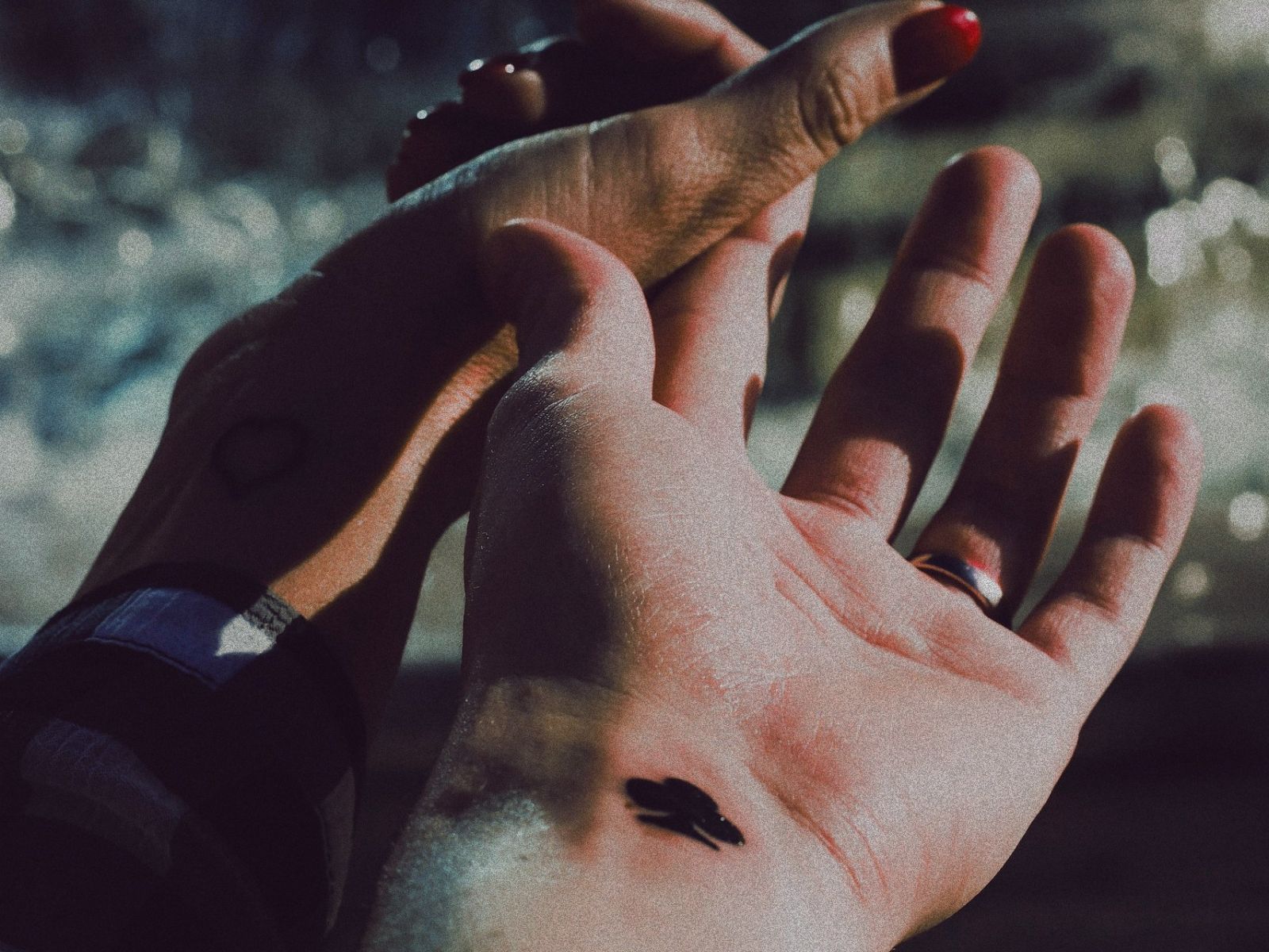 Αστρολογικές προβλέψεις Ιούλιος 2025: Περίοδος σύγκρουσης και έλξης για 4 ζώδια- Θα ζήσουν το πιο διφορούμενο και δυνατό έρωτα