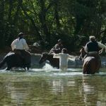 Οι Αθώοι: Κυκλοφόρησαν τα πρώτα αποσπάσματα των επεισοδίων στη νέα σειρά - υπερπαραγωγή - Βίντεο