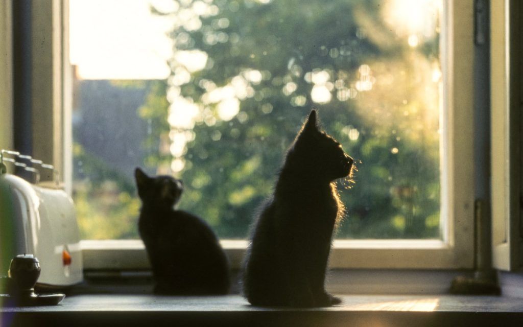 Αστρολογικές προβλέψεις Αύγουστος 2025: Βαθμολογούμε τα ζώδια από το πιο τυχερό στο πιο άτυχο- Ποιος είναι ο βασιλιάς της τύχης;