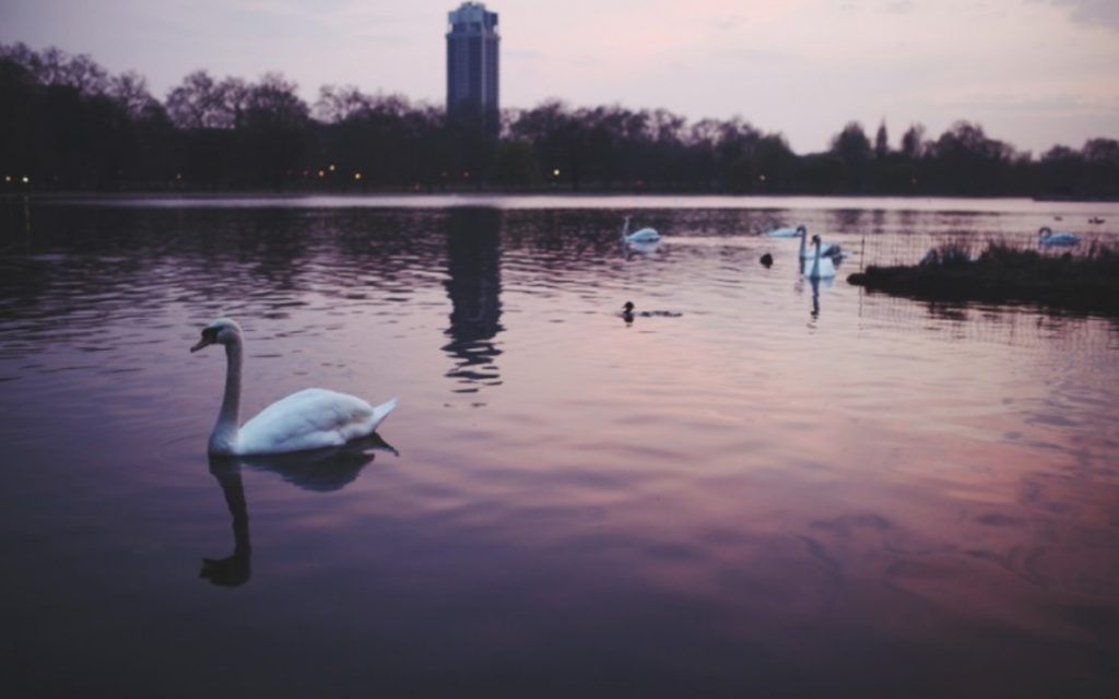 Μηνιαίες προβλέψεις Κώστας Λεφάκης: Ο Αύγουστος 2025 προβλέπεται επεισοδιακός μήνας- Τι να περιμένει το κάθε ζώδιο;