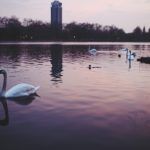 Μηνιαίες προβλέψεις Κώστας Λεφάκης: Ο Αύγουστος 2025 προβλέπεται επεισοδιακός μήνας- Τι να περιμένει το κάθε ζώδιο;