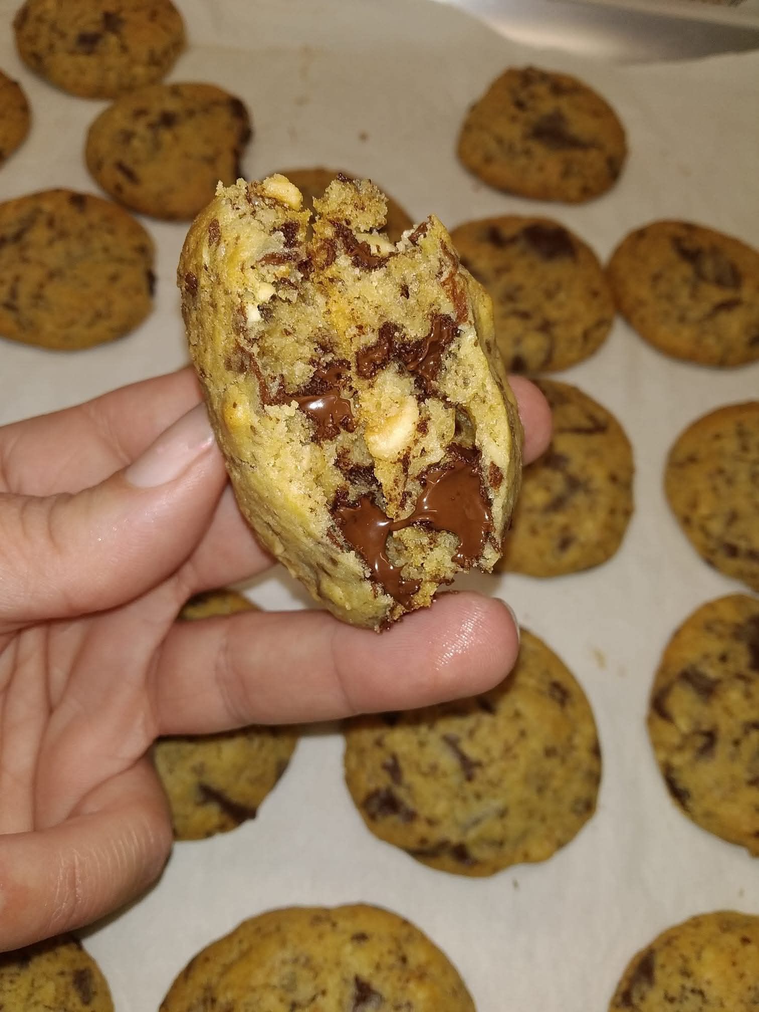 σπασμένο-μπισκότο-με-σοκολάτα- σπασμένο-μπισκότο-με-σοκολάτα-