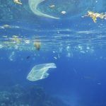 Επιστήμονες από την Ιαπωνία εφηύραν πλαστικό που διαλύεται στη θάλασσα σε λίγες ώρες