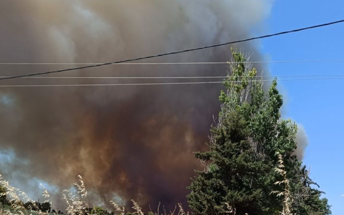 Φωτιά Εύβοια : Η Αστυνομία έκλεισε τον δρόμο στην Αρτάκη -Η πυρκαγιά μαίνεται ανεξέλεγκτη