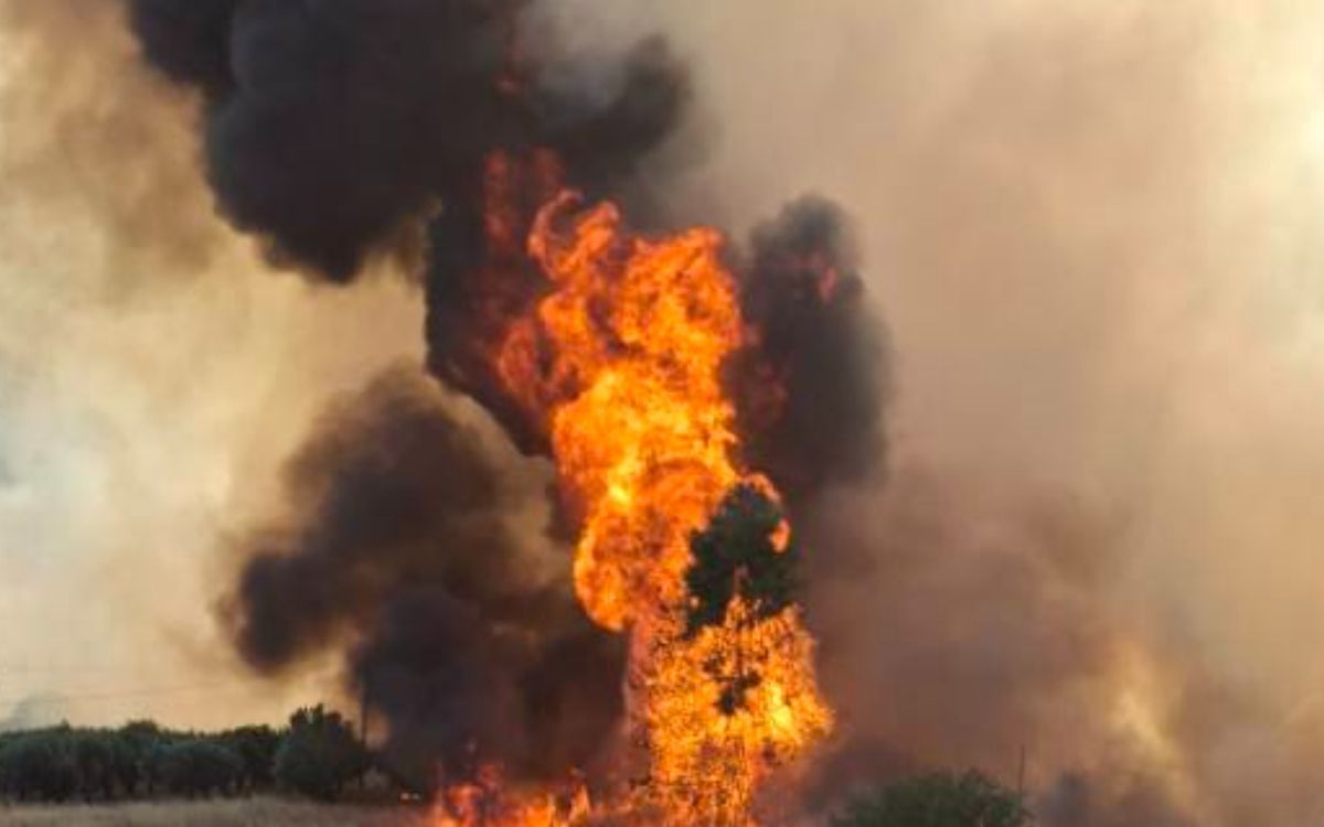 Φωτιά Εύβοια : Νέο 112 - Εκκενώνονται περιοχές της Χαλκίδας ΠΕΙ και Δοκός