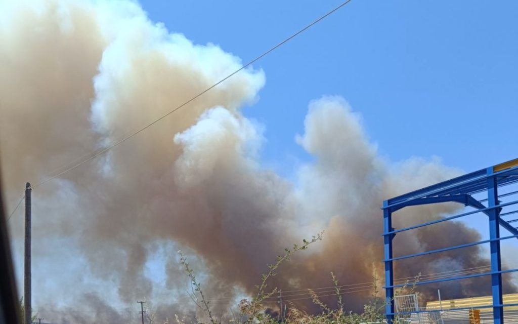 Φωτιά στην Εύβοια : Στο νοσοκομείο οδηγείται πυροσβέστης - Κάηκαν δύο οχήματα της Πυροσβεστικής