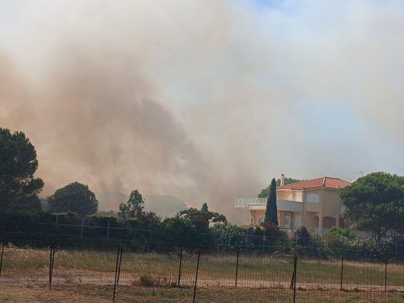 Φωτιά τώρα στην Εύβοια: Εστάλη 112 για εκκένωση