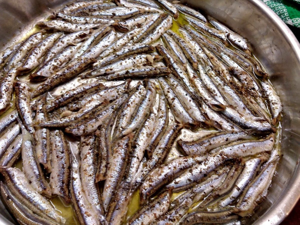 Γαύρος λαδορίγανη στο φούρνο