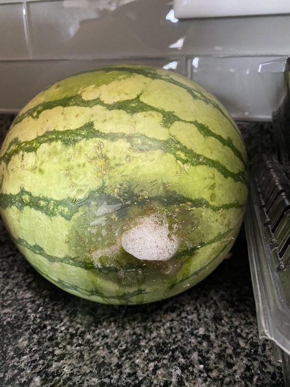 Γιατί το καρπούζι βγάζει αφρούς ; Οι σοβαροί κίνδυνοι για την υγεία