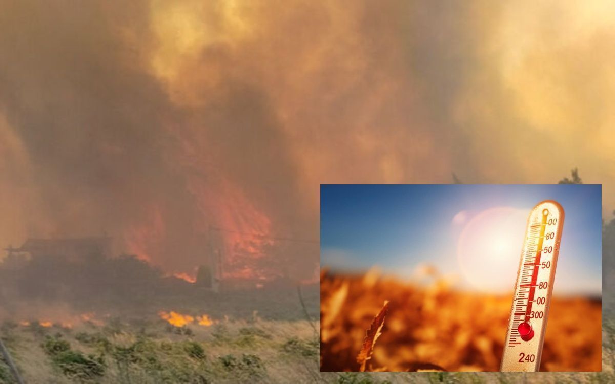 Καιρός: Η ακραία ζέστη και οι άνεμοι Foehn αυξάνουν τον κίνδυνο πυρκαγιών - Οι περιοχές που κινδυνεύουν περισσότερο