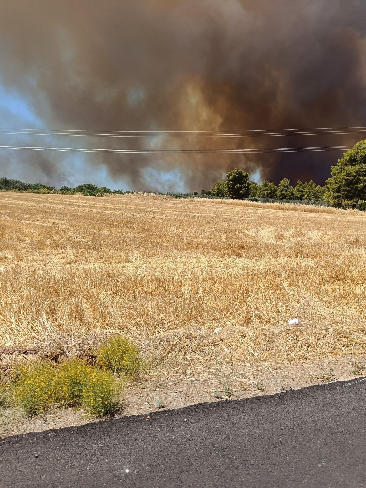 Μεγάλη φωτιά στην Εύβοια Τώρα- Ήχησε το 112 για εκκένωση