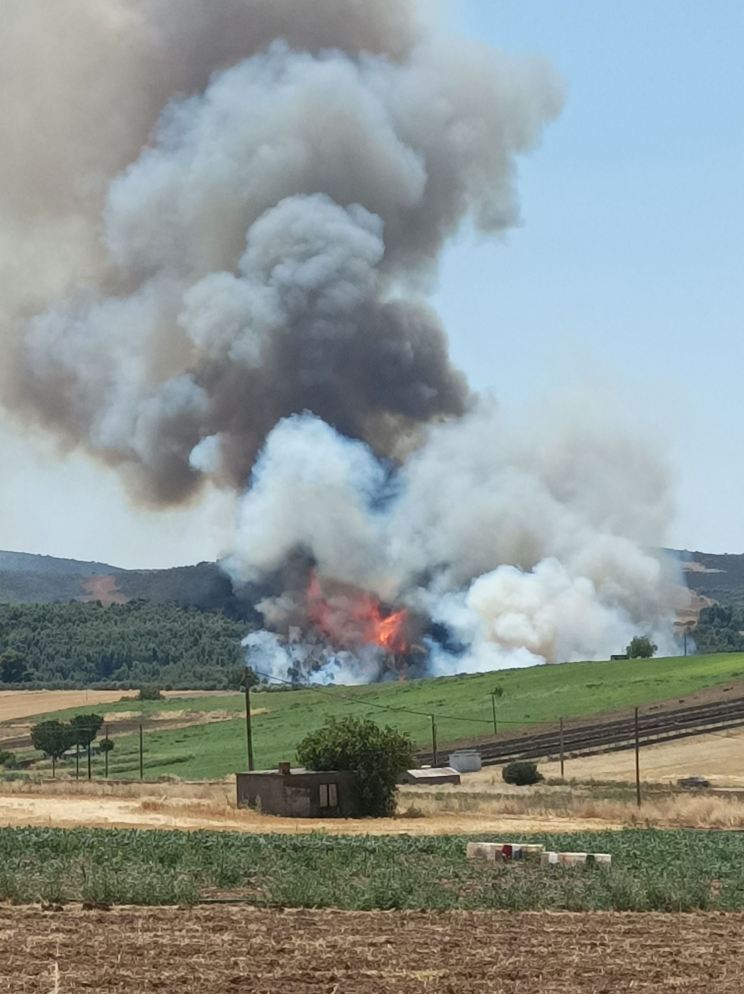 Μεγάλη φωτιά στην Εύβοια Τώρα- Ήχησε το 112 για εκκένωση από Πισσώνα προς Αφράτι