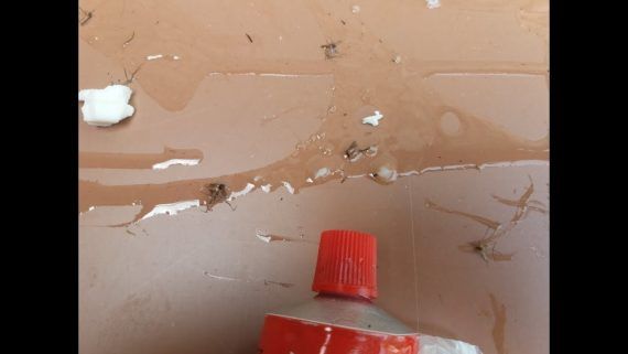 Οικονομική και εύκολη παγίδα για κουνούπια ιδανική για το camping την αυλή ή το μπαλκόνι