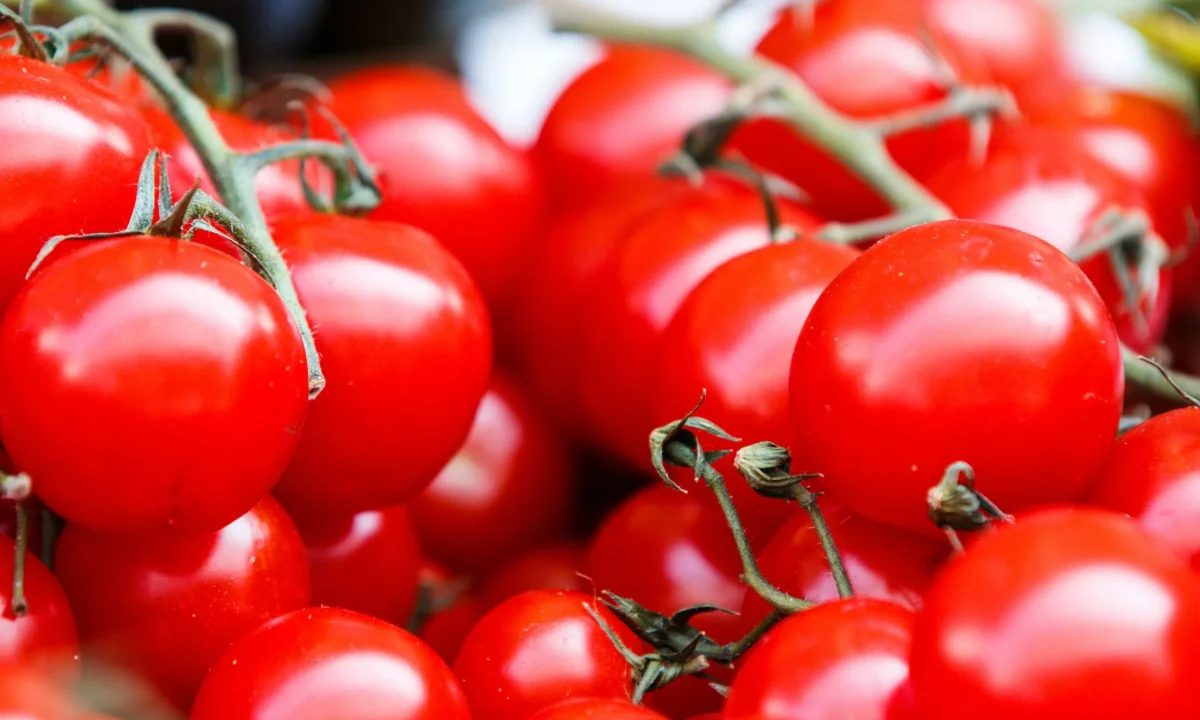 4 λόγοι που η ντομάτα είναι πιο έξυπνη από εμάς