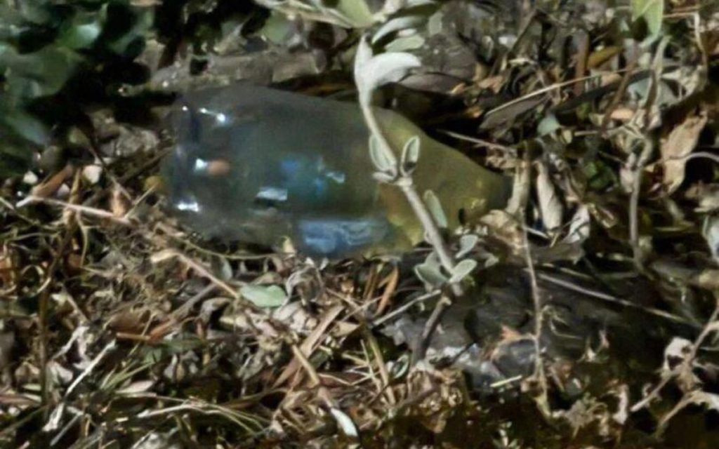 Αυτοί είναι οι Νέρωνες με το παπάκι- Φωτογραφίες από τον 19χρονο και τον 27χρονο που έκαναν παρανάλωμα την Πάτρα