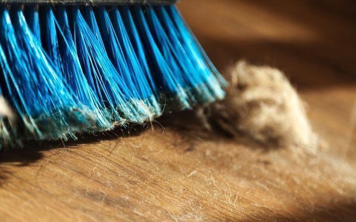 Αν απεχθάνεσαι τη σκόνη τσέκαρε αυτά τα 10 κόλπα για να την ξεφορτωθείς για εβδομάδες