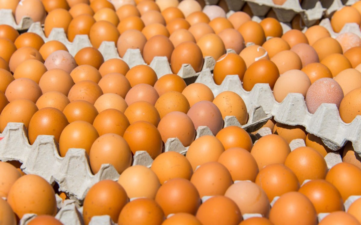 Ανάκληση LIDL: Συναγερμός για μολυσμένα αυγά με σαλμονέλα