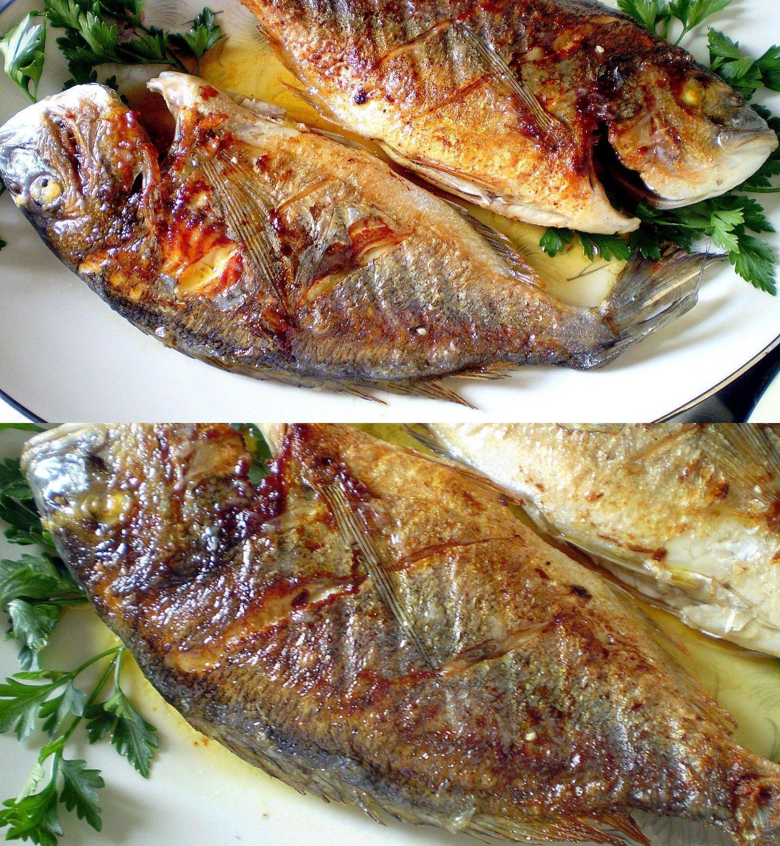 Δεκαπενταύγουστος 2025: 13 συνταγές για ψάρι