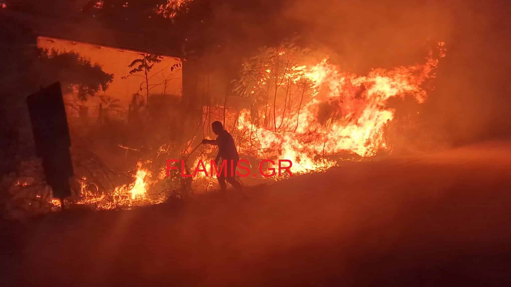 Φωτιά Πάτρα : Η φωτιά μπήκε στην Άνω Αχαΐα, καίγονται σπίτια στα Τσουκαλείκα
