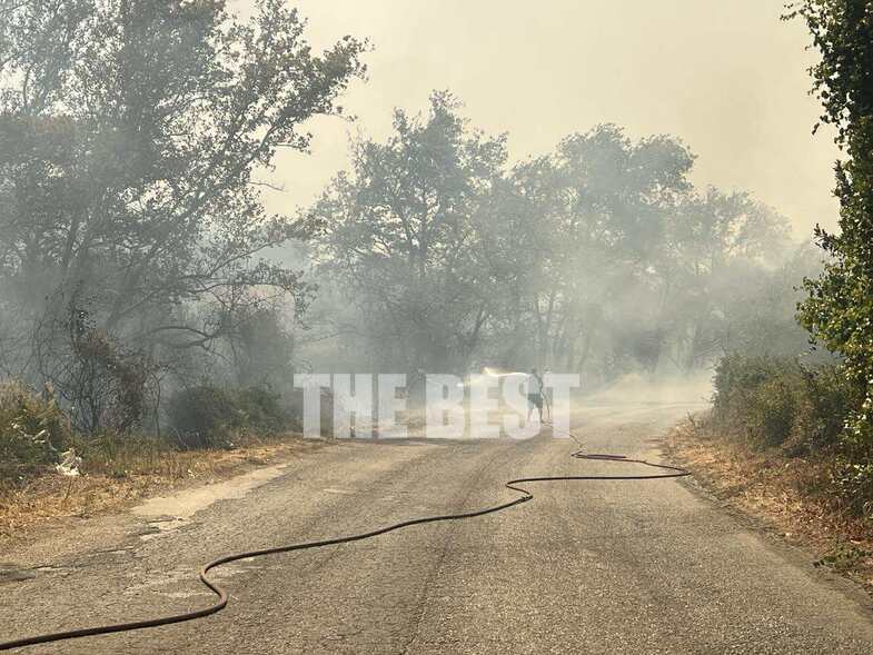 Φωτιά Πάτρα: Περικυκλώνει την πόλη - Μία ανάσα από τον αστικό ιστό- Φώτο και βίντεο που κόβουν την ανάσα