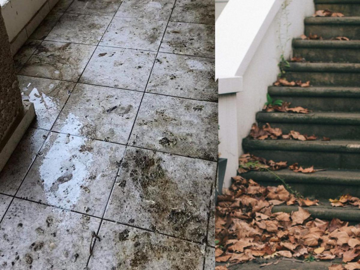 Φθινόπωρο: Όλα τα έξυπνα κόλπα για να καθαρίσεις τα φύλλα από την αυλή και να ξεβουλώσεις τα σιφόνια