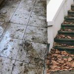 Φθινόπωρο: Όλα τα έξυπνα κόλπα για να καθαρίσεις τα φύλλα από την αυλή και να ξεβουλώσεις τα σιφόνια