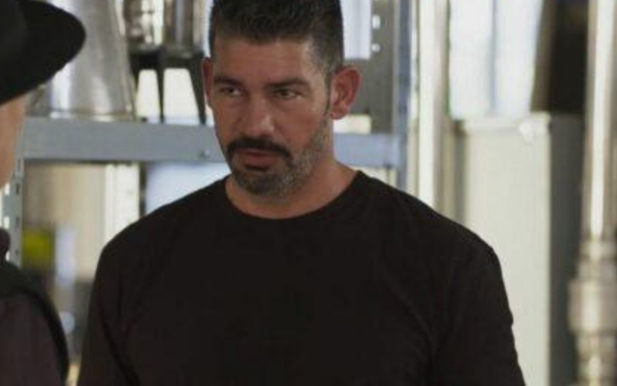 Η-Γη-της-Ελιάς-Αποστόλης-