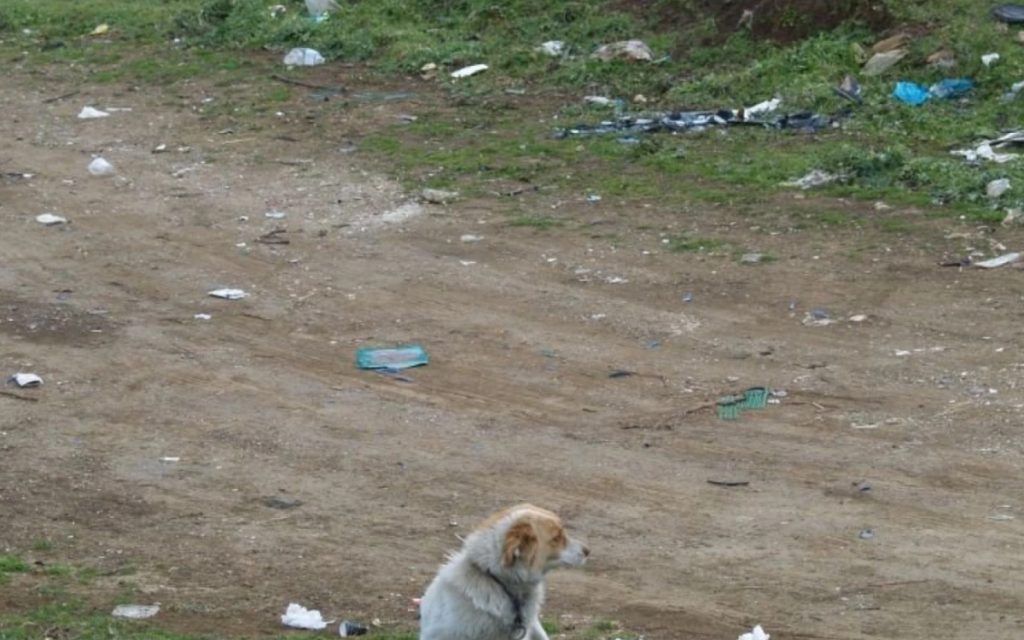 Παράνομες Ταφές στο Γουδί: Μακάβρια ευρήματα εκεί που παίζουν παιδιά - Υγειονομική βόμβα