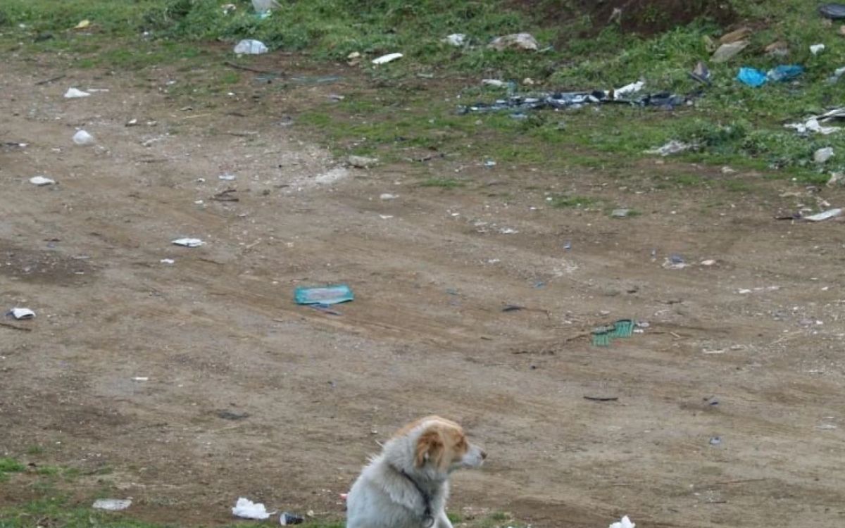 Παράνομες Ταφές στο Γουδί: Μακάβρια ευρήματα εκεί που παίζουν παιδιά - Υγειονομική βόμβα