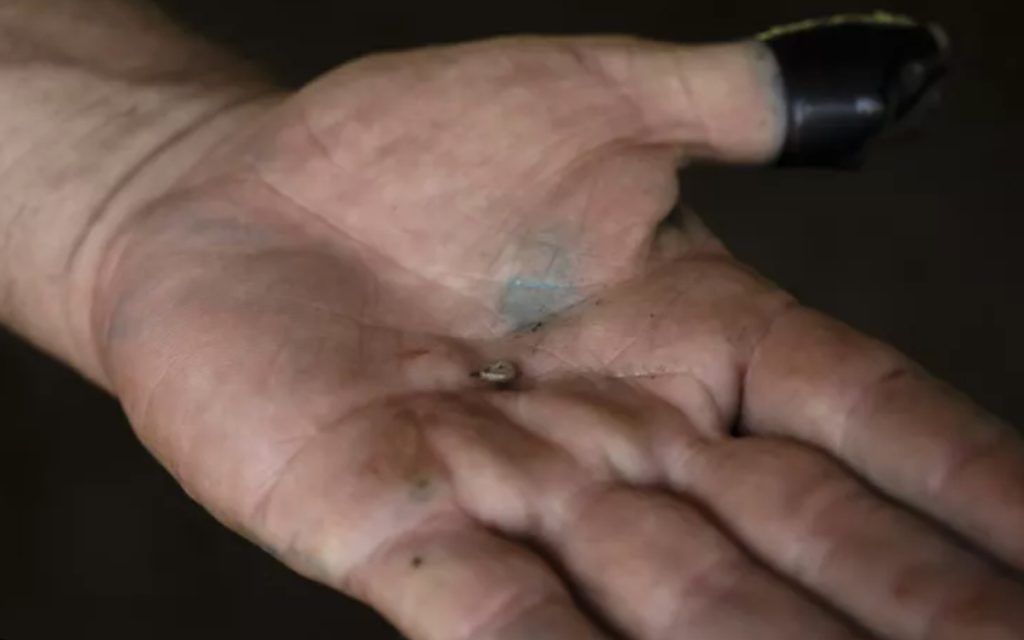 Σκουλήκι του Νέου Κόσμου: Επιβεβαιώθηκε το πρώτο κρούσμα σε άνθρωπο- Τι είναι και τι μπορεί να μας προκαλέσει