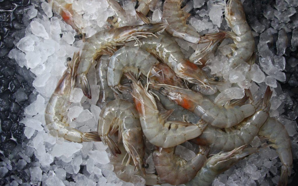 κατεψυγμένες-γαρίδες-